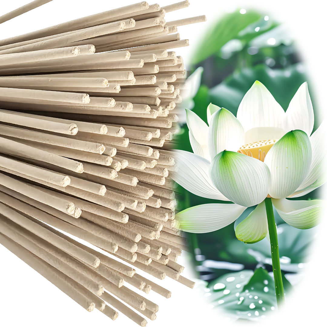Bastoncini di incenso di loto  - Smokeless Incense Stick recensione e prezzo
